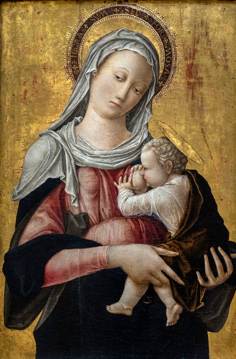 Nursing Madonna by Bartolomeo Vivarini